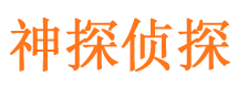 大观市私家侦探